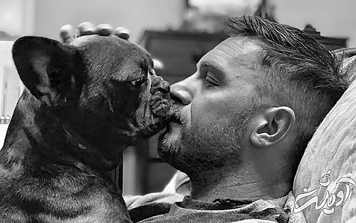 روز جهانی سگ، وفادارترین دوست انسان